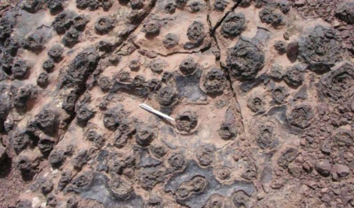 Ontdekking door NASA begeerde microben in Marokko