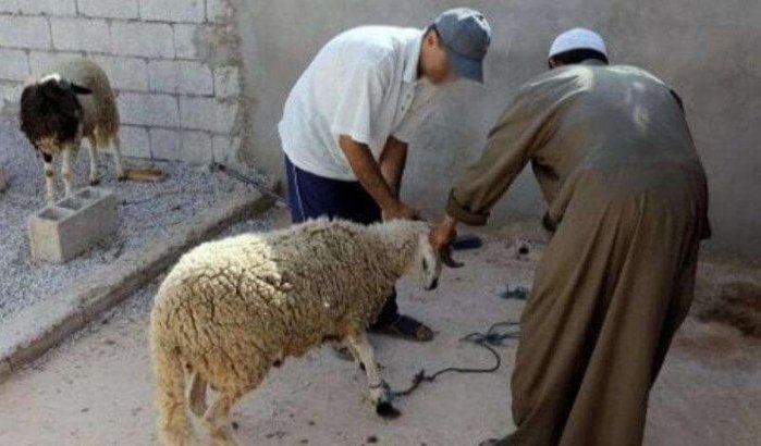 Man vraagt op bizarre wijze hulp aan Koning Mohammed VI