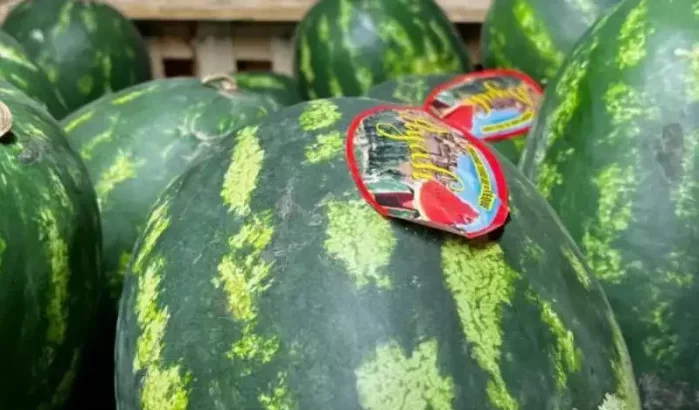 Spaanse boer geeft watermeloenen gratis weg uit protest tegen "Marokkaanse invasie"