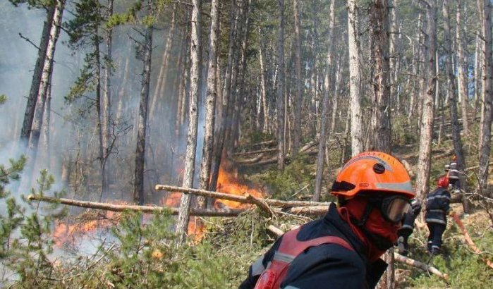 Hezmar bos in Tetouan verwoest door brand