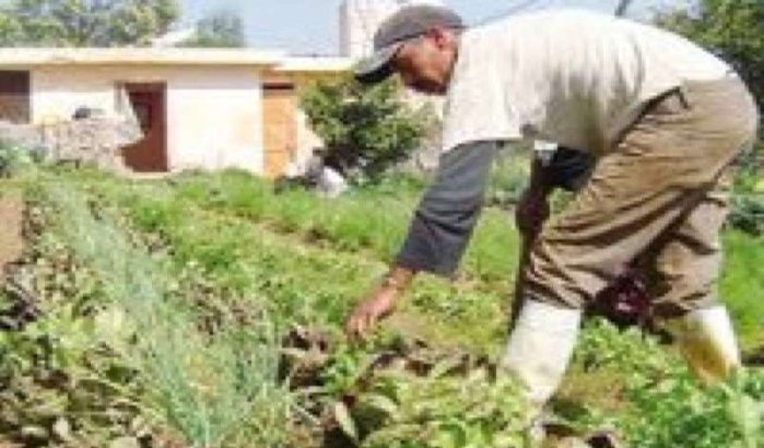 Qatar wil hand leggen op landbouwsector Marokko