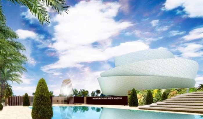 Zo zal het nieuw aquarium van Casablanca eruitzien