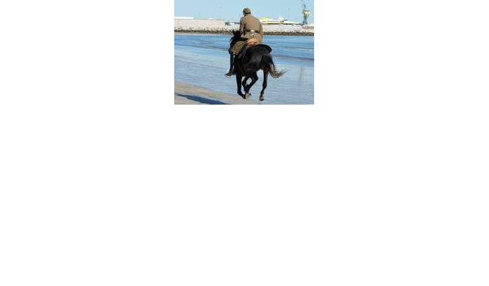Agent redt vrouw van zelfmoordpoging in Nador