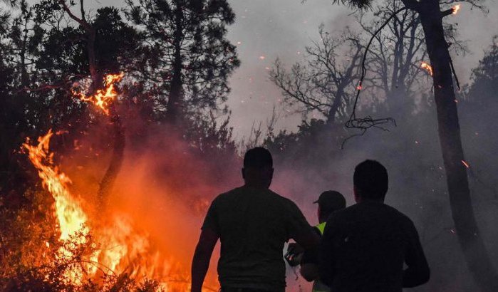 Zal Algerije Marokko opnieuw beschuldigen van branden?
