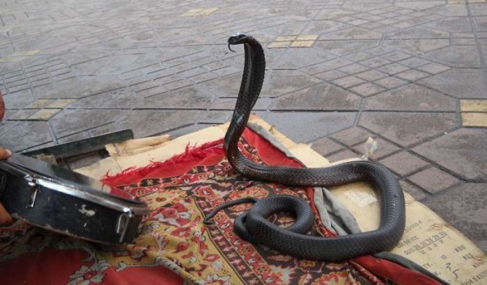 Tien dingen die je moet doen in Marrakech