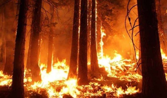 Enorme brand aan Marokkaans-Algerijnse grens