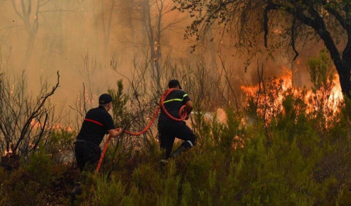 Bosbrand woedt in natuurpark bij Chefchaouen