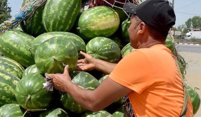 Watermeloen dit jaar onbetaalbaar voor Marokkanen