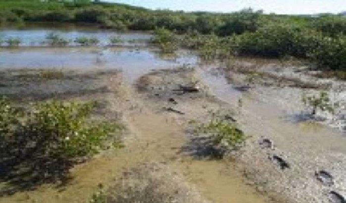 Lichaam ontdekt in moerasgebied Khouribga