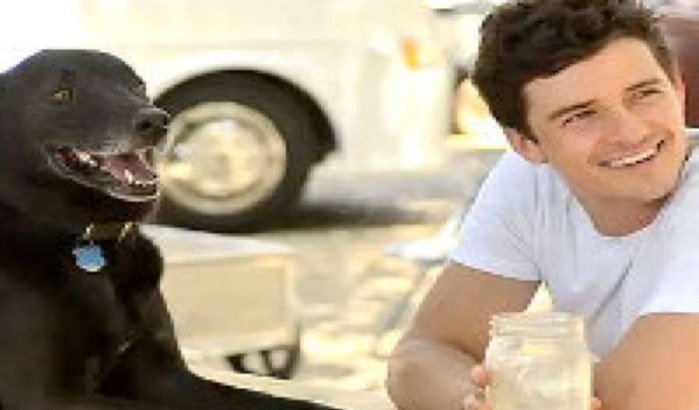 Sidi, Orlando Bloom's Marokkaanse hond