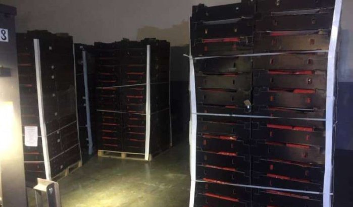 Tanger: 11,4 ton drugs gevonden in lading landbouwproducten