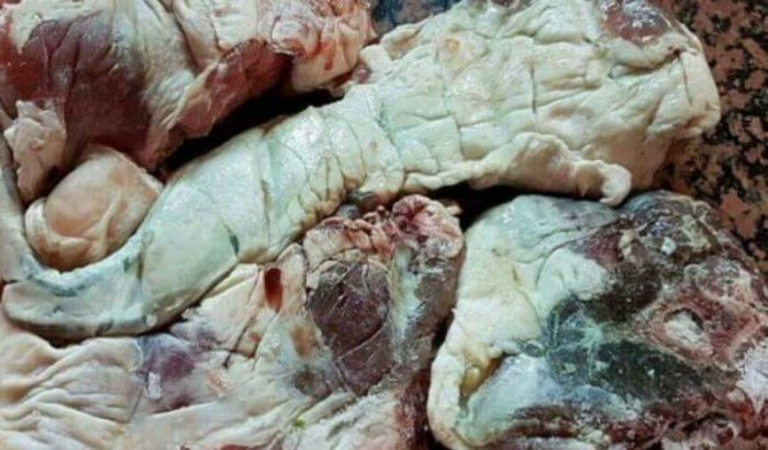 Casablanca: acht ton bedorven vlees in beslag genomen