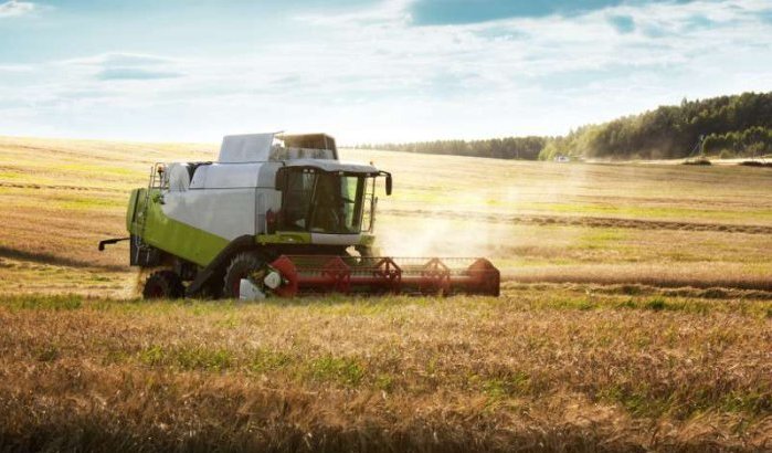 Canada wil arbeidskracht uit Marokko laten komen