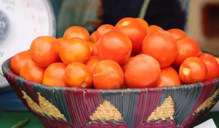 Tomaten in Europa: Marokko in opkomst, Spanje zakt weg