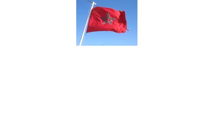 Ex-Kamerlid cel in voor scheuren vlag Marokko