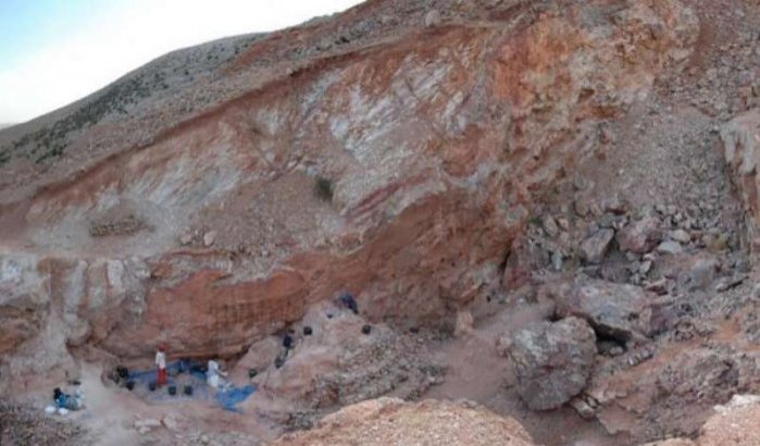 Resten van zeldzame dinosaurus ontdekt in Tiznit