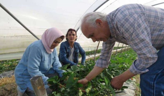 Marokkaanse boer in Frankrijk geeft aardbeien tweede leven