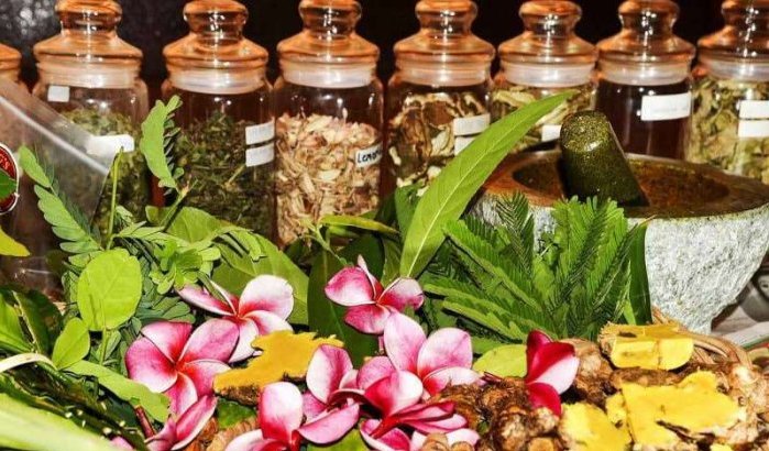 Marokko verbiedt invoer planten