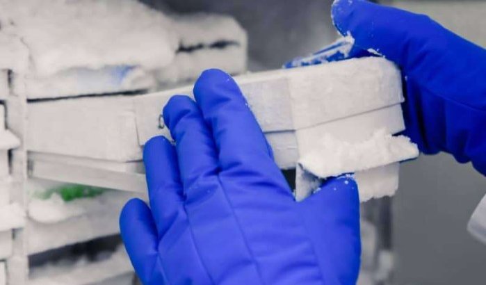 Marokkaanse ingenieur werkt aan nieuw koelingssysteem voor vaccins