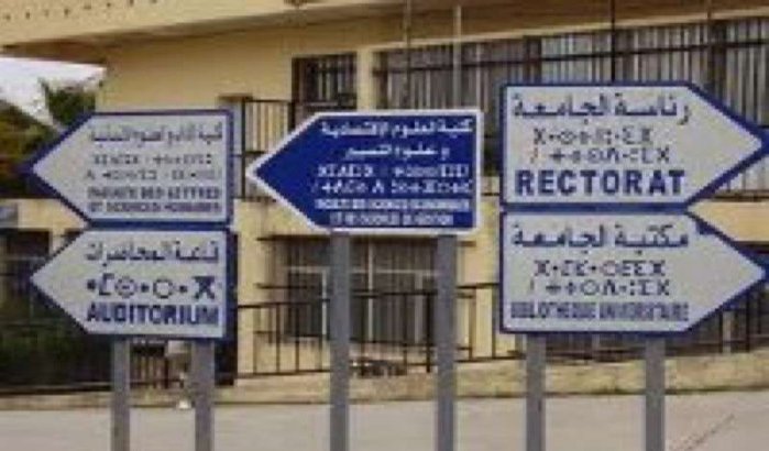 Libische opstandelingen vragen hulp aan Imazighen Marokko