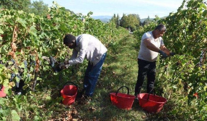 Italië gaat 200.000 migranten regulariseren