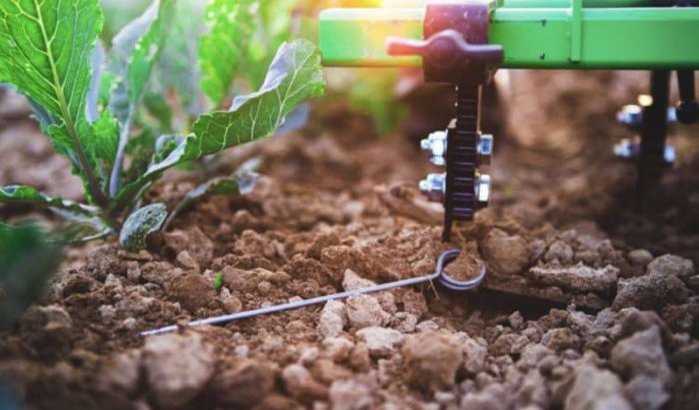Een 100% Marokkaanse robot voor landbouwers
