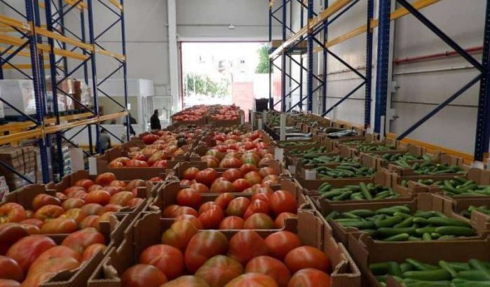 Spaanse boeren in nood door import Marokkaanse groente en fruit