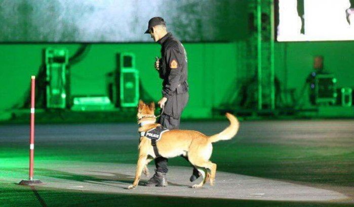 Verenigde Staten vol lof over Marokkaanse politiehonden