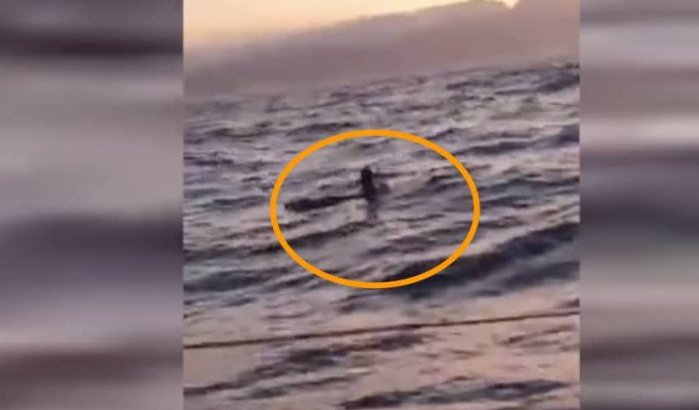 Zeilboot op weg naar race redt Marokkaanse migrant (video)