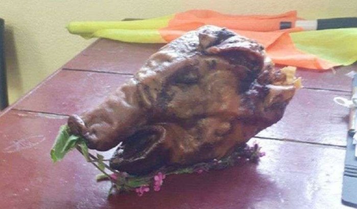 Varkenskop gevonden in kleedkamer Marokkaanse scheidsrechter in Frankrijk