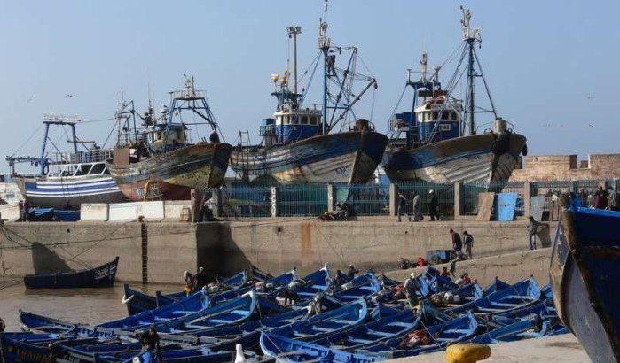 Ruim 840.000 ton sardines gevist in Marokko in 2015
