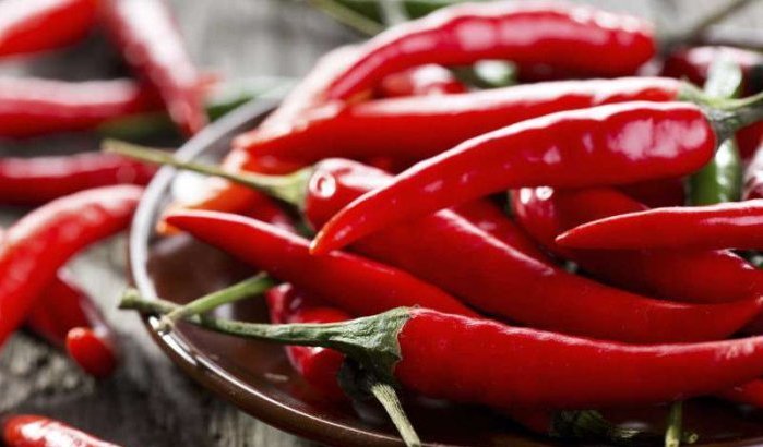Buschauffeur met peper aangevallen in Fez