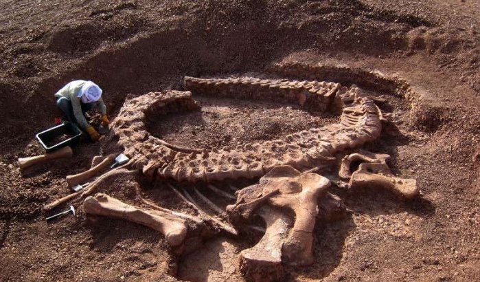 Wetenschappers verdacht van illegale handel dinosaurusfossielen in Marokko