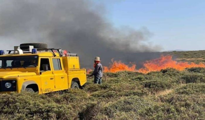Twee arrestaties na bosbrand Ifrane