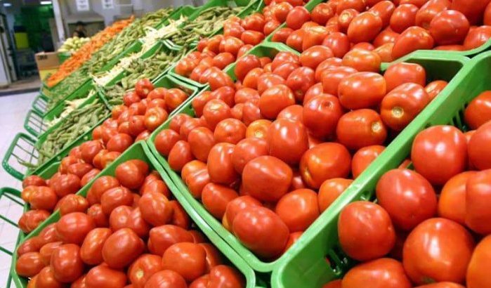Uitvoer Marokkaanse tomaten naar Rusland met 99% gedaald