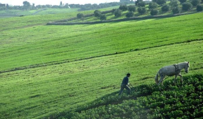 Marokko krijgt 16 miljoen van EU voor landbouw