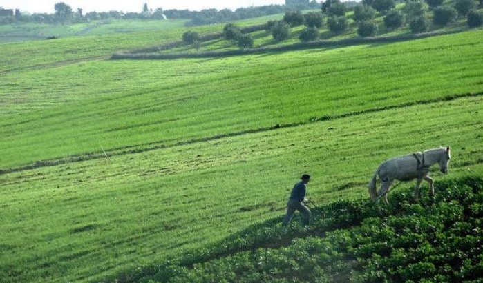 Marokko krijgt 16 miljoen van EU voor landbouw