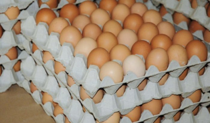 Marokkanen slachtoffer onbegrijpelijke stijging eierprijzen