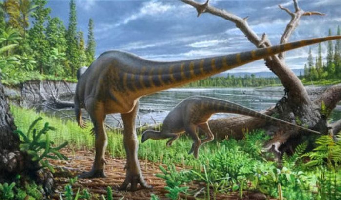 Oudste Cerapoda dinosauriër gevonden in Marokko