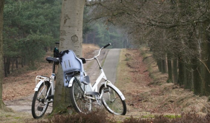Nederlandse park schenkt 500 fietsen aan kinderen in Marokko 