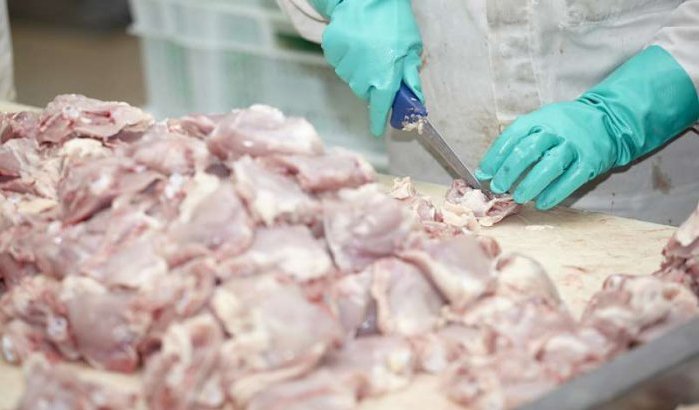 Bende in Marokko verkocht bedorven niet halal vlees om IS te financieren
