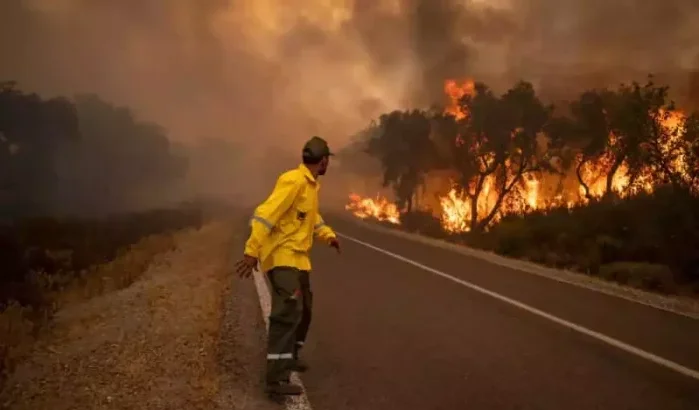 Marokko: droogte en hitte zijn explosieve cocktail voor bosbranden