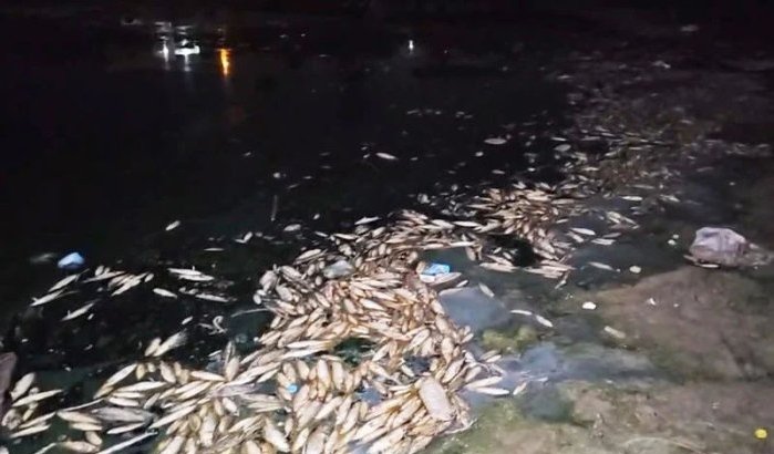Zeldzaam fenomeen op strand Chefchaouen 