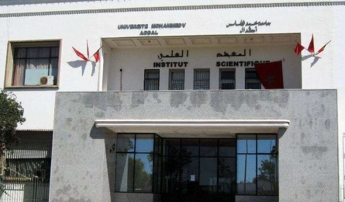 Dit is de beste universiteit van Marokko in 2020