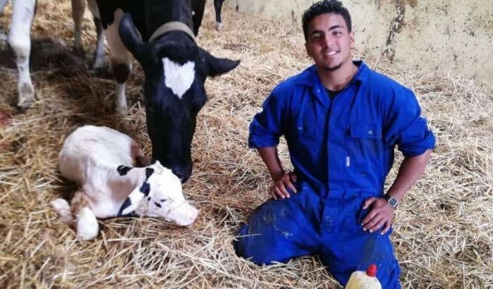 Ayoub Louihrani wilde boer worden in Marokko