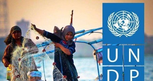 UNDP