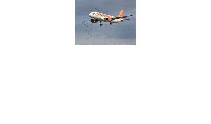 Noodlanding Casablanca na botsing met vogel