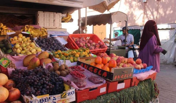 Marokko: prijzen sterk gedaald in Al Hoceima en Tetouan