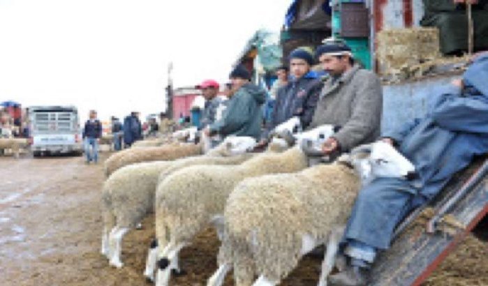 Marokko viert Eid Al Adha op vrijdag 26 oktober 
