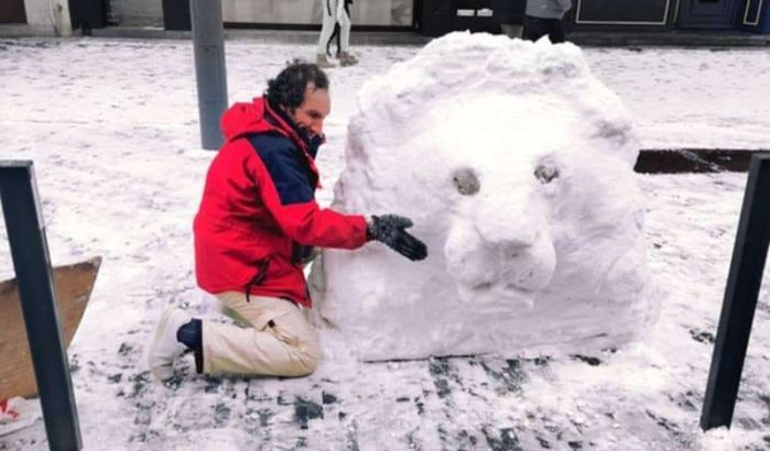 Dakloze Marokkaan trekt aandacht met sneeuwleeuw in Brussel